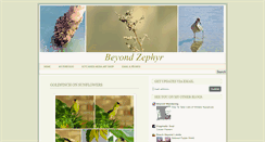 Desktop Screenshot of beyondzephyr.com