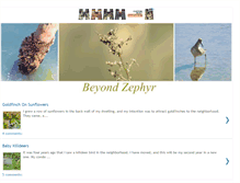 Tablet Screenshot of beyondzephyr.com